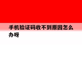 手机验证码收不到原因怎么办呀