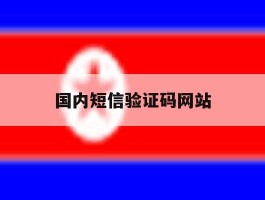 国内短信验证码网站