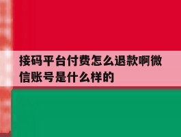 接码平台付费怎么退款啊微信账号是什么样的的简单介绍
