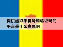 提供虚拟手机号和验证码的平台是什么意思啊的简单介绍
