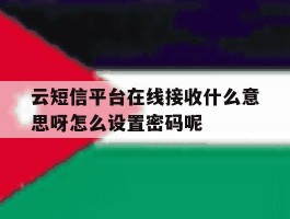 云短信平台在线接收什么意思呀怎么设置密码呢的简单介绍
