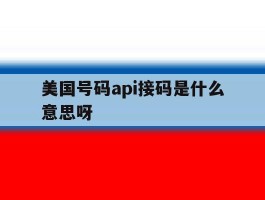 美国号码api接码是什么意思呀