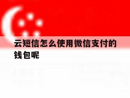 云短信怎么使用微信支付的钱包呢