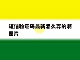 短信验证码最新怎么弄的啊图片