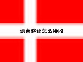 语音验证怎么接收