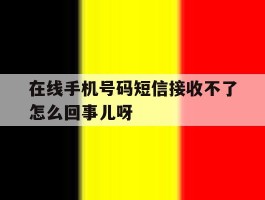 在线手机号码短信接收不了怎么回事儿呀的简单介绍