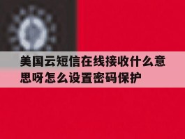 美国云短信在线接收什么意思呀怎么设置密码保护的简单介绍