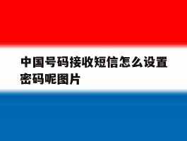 中国号码接收短信怎么设置密码呢图片的简单介绍