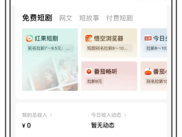 怎么利用接码软件赚钱的方法