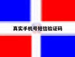 真实手机号短信验证码