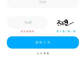 验证码接收平台推荐码是什么样的