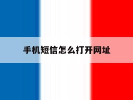 手机短信怎么打开网址