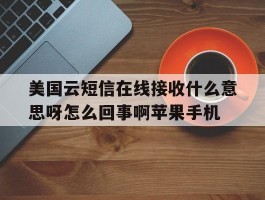 美国云短信在线接收什么意思呀怎么回事啊苹果手机的简单介绍
