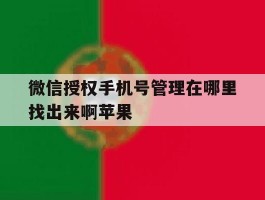 微信授权手机号管理在哪里找出来啊苹果