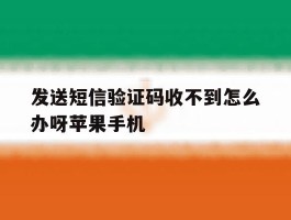 包含发送短信验证码收不到怎么办呀苹果手机的词条