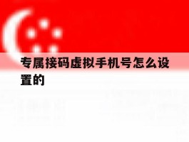 专属接码虚拟手机号怎么设置的