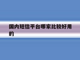 包含国内短信平台哪家比较好用的的词条