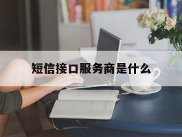 短信接口服务商是什么