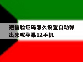 包含短信验证码怎么设置自动弹出来呢苹果12手机的词条