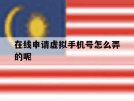 在线申请虚拟手机号怎么弄的呢
