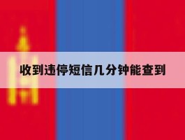 收到违停短信几分钟能查到