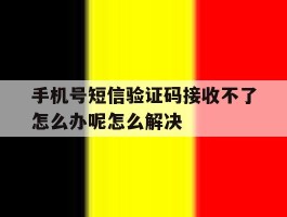 关于手机号短信验证码接收不了怎么办呢怎么解决的信息