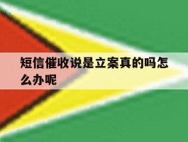 短信催收说是立案真的吗怎么办呢