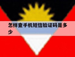 怎样查手机短信验证码是多少