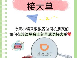 放单平台接单怎么操作的啊图片