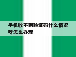 手机收不到验证码什么情况呀怎么办理