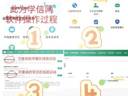 实名手机卡验证码平台怎么查询信息