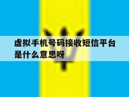 虚拟手机号码接收短信平台是什么意思呀