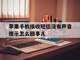 苹果手机接收短信没有声音提示怎么回事儿