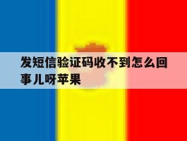 发短信验证码收不到怎么回事儿呀苹果