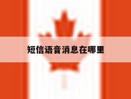 短信语音消息在哪里
