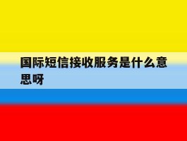 国际短信接收服务是什么意思呀