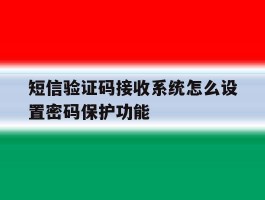短信验证码接收系统怎么设置密码保护功能