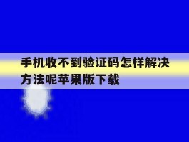 手机收不到验证码怎样解决方法呢苹果版下载