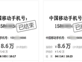 买个虚拟手机号多少钱啊