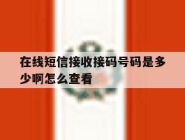 在线短信接收接码号码是多少啊怎么查看