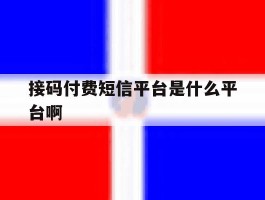 接码付费短信平台是什么平台啊