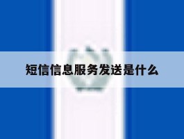 短信信息服务发送是什么