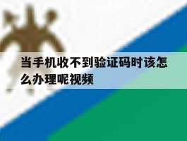 当手机收不到验证码时该怎么办理呢视频