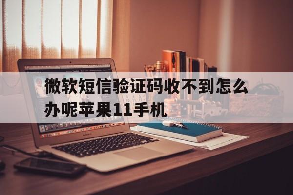 微软短信验证码收不到怎么办呢苹果11手机的简单介绍 微软短信验证码收不到怎么办呢苹果11手机的简单介绍