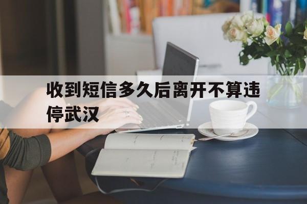 关于收到短信多久后离开不算违停武汉的信息 关于收到短信多久后离开不算违停武汉的信息