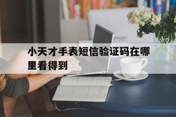 小天才手表短信验证码在哪里看得到 小天才手表短信验证码在哪里看得到