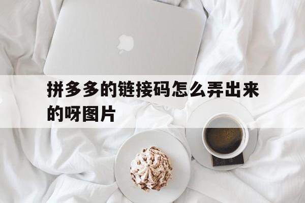 拼多多的链接码怎么弄出来的呀图片的简单介绍 拼多多的链接码怎么弄出来的呀图片的简单介绍