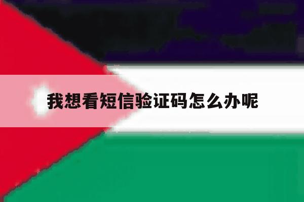 我想看短信验证码怎么办呢 我想看短信验证码怎么办呢