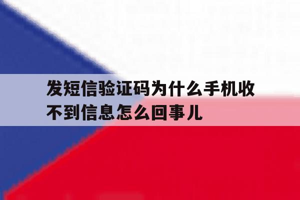 发短信验证码为什么手机收不到信息怎么回事儿 发短信验证码为什么手机收不到信息怎么回事儿