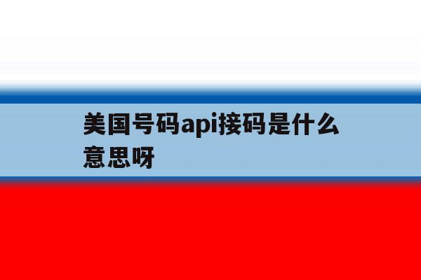 美国号码api接码是什么意思呀 美国号码api接码是什么意思呀